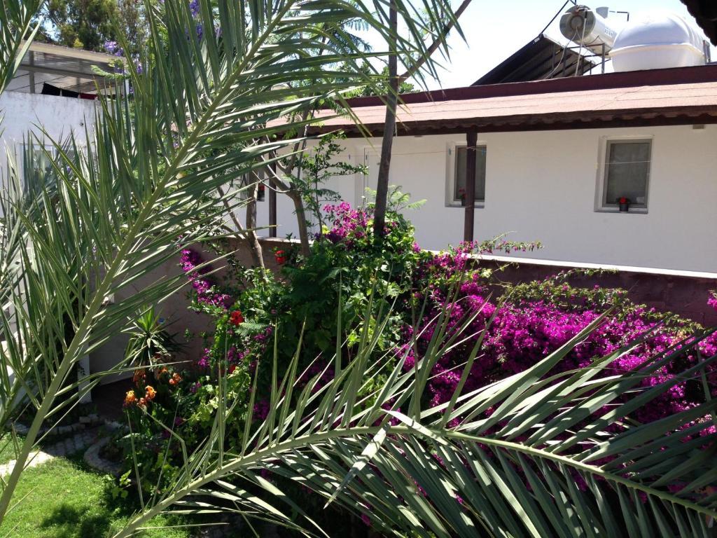גולטורקבוקו Eda Motel מראה חיצוני תמונה